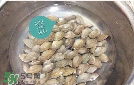 芒果螺怎么清洗？芒果螺怎么吃