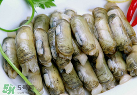 蟶子不能和什么一起吃？蟶子和什么不能一起吃？