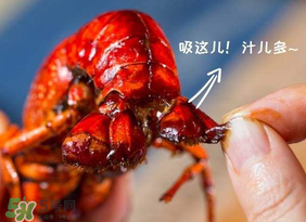 吃油燜大蝦會胖嗎？油燜大蝦的熱量是多少？