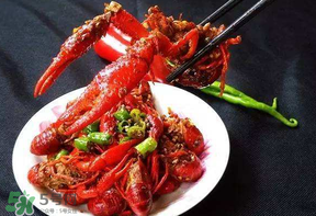 龍蝦什么時候上市？龍蝦幾月份上市？