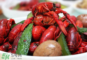 龍蝦什么時候上市？龍蝦幾月份上市？