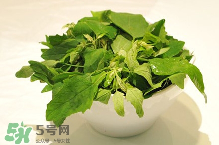灰灰菜有什么功效？灰灰菜有什么營(yíng)養(yǎng)價(jià)值