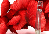 kenzo香水一枝花多少錢？kenzo一枝花香水怎么樣價(jià)格