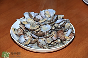 芒果螺怎么清洗？芒果螺怎么吃