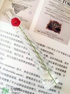 kenzo香水一枝花多少錢？kenzo一枝花香水怎么樣價(jià)格