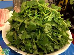 四月份可以種香菜嗎？四月份還能種香萊嗎？