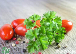 四月份可以種香菜嗎？四月份還能種香萊嗎？