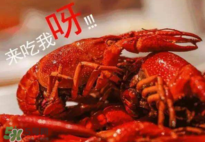煮熟的小龍蝦隔夜能吃嗎？煮熟的小龍蝦能放多久？