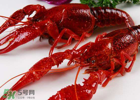 龍蝦發(fā)苦怎么回事？龍蝦發(fā)苦能吃嗎？