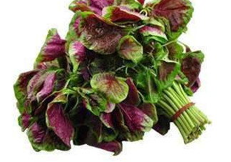 野莧菜能吃嗎？野莧菜圖片