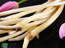 藕帶什么時(shí)候有？藕帶什么時(shí)候上市