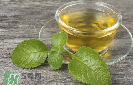 薄荷泡水喝有什么好處？薄荷葉泡水的功效