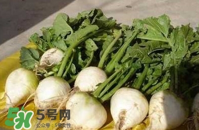 芥菜疙瘩孕婦能吃嗎？孕婦可以吃芥菜疙瘩嗎