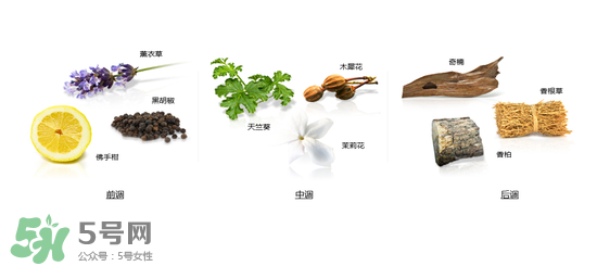 郎朗香水是什么牌子？郎朗香水是什么檔次？