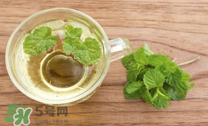 薄荷葉能生吃嗎？薄荷葉可以生吃嗎