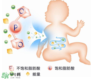 kabrita佳貝艾特羊奶粉怎么樣？kabrita佳貝艾特羊奶粉好不好？