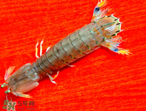 皮皮蝦煮多長(zhǎng)時(shí)間？水煮皮皮蝦多長(zhǎng)時(shí)間？