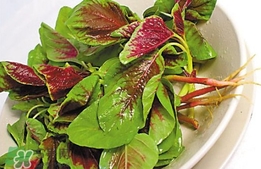 莧菜怎么吃？莧菜怎么炒