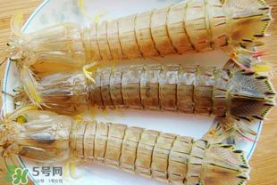 蝦爬子多少錢一斤？2017蝦爬子價格