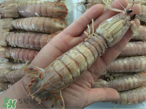 蝦爬子是蒸還是煮？蝦爬子蒸好還是煮好？