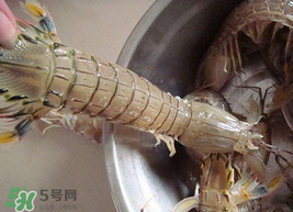 皮皮蝦可以放冰箱嗎？皮皮蝦能放冰箱保存嗎？
