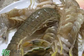 皮皮蝦可以放冰箱嗎？皮皮蝦能放冰箱保存嗎？