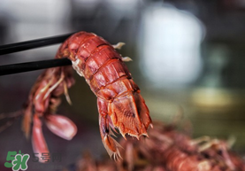 熟皮皮蝦隔夜還能吃嗎？煮熟的皮皮蝦隔夜能吃嗎？