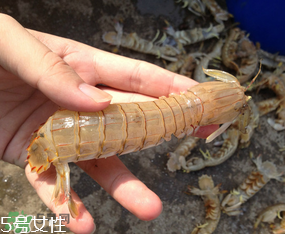 ?皮皮蝦發(fā)綠能吃嗎？?皮皮蝦變綠了還能吃嗎？