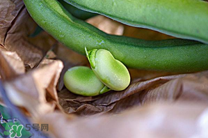 蠶豆可以放冰箱嗎？新鮮蠶豆可以放冰箱嗎？