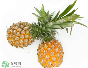 皮皮蝦和菠蘿能一起吃嗎？吃完皮皮蝦能吃菠蘿嗎？
