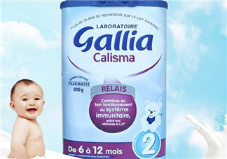 gallia佳利雅奶粉怎么樣？gallia佳利雅奶粉好嗎？