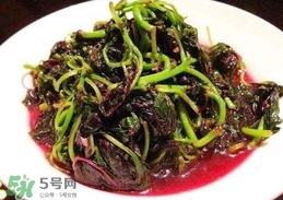 汗菜是發(fā)物嗎？汗菜是不是發(fā)物嗎