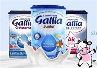 gallia佳利雅奶粉怎么沖？gallia佳利雅奶粉沖調(diào)方法？