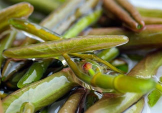 莼菜怎么做？莼菜怎么做好吃？