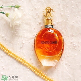 roberto cavalli是什么牌子？羅伯托卡沃利是幾線什么檔次？