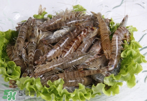 基圍蝦不能和什么一起吃？基圍蝦和什么不能一起吃？