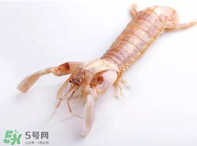皮皮蝦什么時(shí)候有籽？皮皮蝦幾月份有籽？