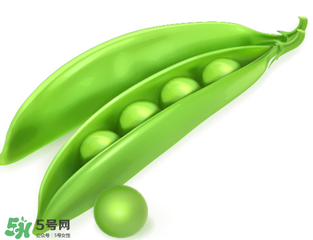 荷蘭豆能生吃嗎？荷蘭豆生的可以吃嗎？
