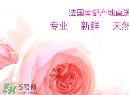 rossi rossa面膜怎么樣？rossi rossa珞珞莊園面膜好不好？