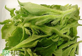 ?冰菜多少錢一斤？? 今年冰菜多少錢一斤？