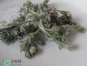 白蒿能治黃疸嗎？白蒿水可以治黃疸嗎？