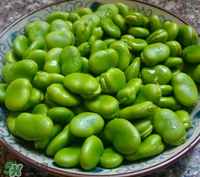 蠶豆多少錢一斤？蠶豆多少錢一斤2017？