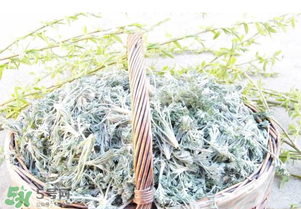 白蒿要焯水嗎？白蒿要不要焯水？