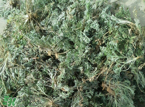 白蒿多少錢一斤？白蒿的價(jià)格