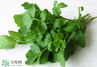 西洋菜是涼性的嗎？西洋菜是性寒的菜嗎