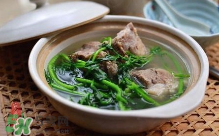 西洋菜是涼性的嗎？西洋菜是性寒的菜嗎