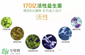益生菌哪個牌子好？哪個牌子的益生菌好？