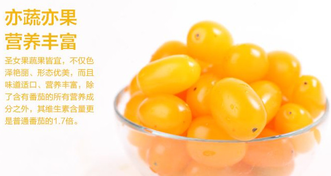 圣女果能減肥嗎？圣女果可以減肥嗎