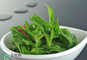 冰草可以放冰箱嗎？冰草能用冰塊保存嗎？