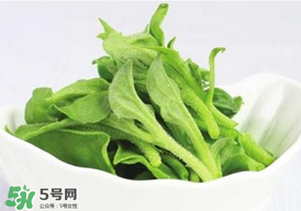 冰草多少錢一斤？非洲冰草多少錢一斤？
